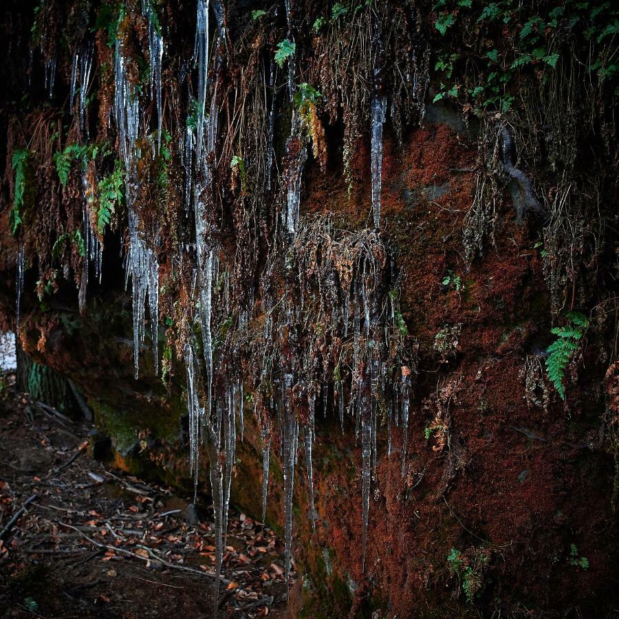 U Kosti - Bohemian Switzerland Διαμέρισμα Ντέτσιν Εξωτερικό φωτογραφία